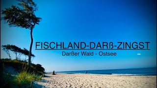 Der Darß  🇩🇪 FischlandDarßZingst ☀️🌳🌊 Baltic Sea ostsee  balticsea  mecklenburgvorpommern [upl. by Tennos853]