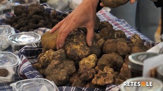 Salone del Tartufo Bianco Pregiato boom di visite a Città di Castello [upl. by Buckler]