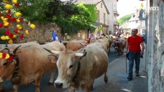 Les 3 jours dAveyron et transhumance 2017 à Saint geniez dolt 26 au 28 mai 2017 [upl. by Une56]