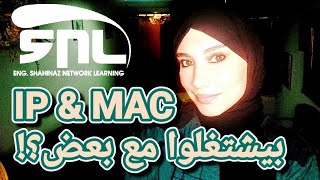 ايه الفرق بين ال IP وال MAC؟؟ مش هتحتاج تسأل السؤال ده تاني 💚 [upl. by Ennairac328]