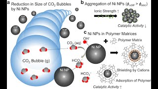 Synthesis and Catalytic Activity of Dendrimer Encapsulated Metal Nanoparticles for Environmental Rem [upl. by Undis681]