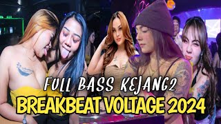 DJ BREAKBEAT 🎵 MUSIC PARTY FULL BASS VOLTAGE 2024 🎼 DJ DIANACORREA [upl. by Anavahs]