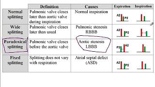 USMLE ACE Video 122 Heart Murmurs and Associated Defects [upl. by Phillipe412]