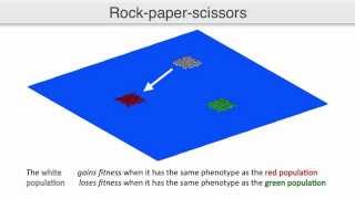 Visualizing coevolution in dynamic fitness landscapes [upl. by Rovelli567]