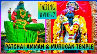 Taiping  Vlog 2  Patchai Amman Temple Taiping  Kathirvel Murugan Temple [upl. by Rhyner]