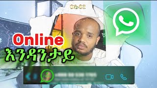 How to Hide WhatsApp Online Status in 2024 🔴ኦንላይንእንዳያሳይ WhatsApp [upl. by Ahsaeyt]