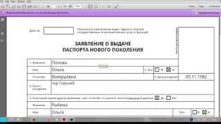 Загранпаспорт как правильно заполнять анкету нового образца июнь2015 [upl. by Asseralc]