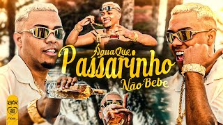 MC Lipi  Água Que Passarinho Não Bebe Web Clipe  Love Funk Oldilla [upl. by Yevad]