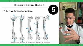 Biomecânica Óssea  Os 5 Tipos de Forças e Traços de Fraturas  Daniel Bohn [upl. by Ardnasxela]