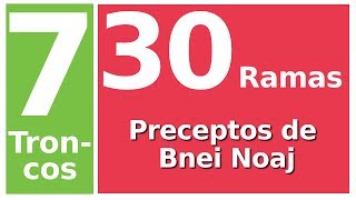 Bnei Noaj  7 troncos 30 ramas preceptos de Bnei Noaj [upl. by Nickelsen220]