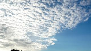 Brief time lapse of altocumulus undulatus 4K [upl. by Emia]