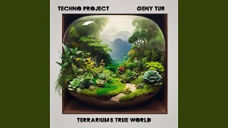 Terrariums True World [upl. by Niwrehs]