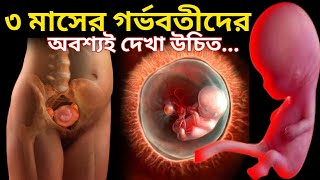 ৩ মাসের গর্ভবতী।3 Months onths of Pregnancy Bangla [upl. by Natehc]