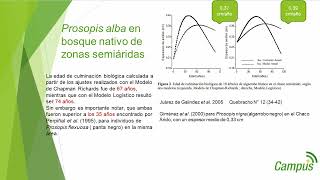 Plantaciones forestales parte 4 [upl. by Shippee]