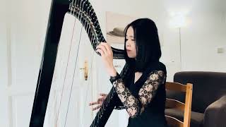 Madeleine Peyroux  La Javanaise harp cover [upl. by Sontag341]