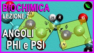 FUNZIONE delle PROTEINE ANGOLI PHI e PSI e GRAFICO di RAMACHANDRAN Biochimica Lezione 7 [upl. by Erdnaed]