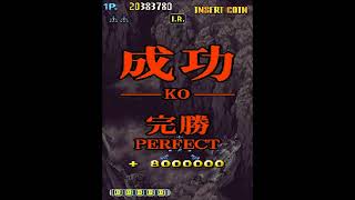 Dodonpachi Bee Storm internet high score try [upl. by Yablon743]