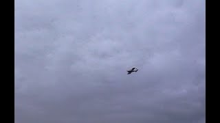 Eflite Cherokee 13m  cloudy evening flight [upl. by Asnerek]