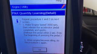 PILOT LEARN PROCEDURE amp injector compensation codes  p1601 [upl. by Spillihp]