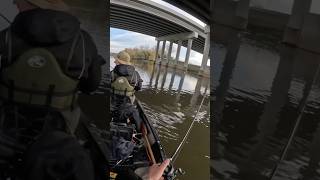 Illinois Northern Pike attacks Northland Tackle Reed Runner on the Des Plaines River [upl. by Auhsuj]