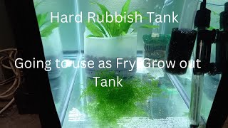 Hard Rubbish Tank for FREE Going to Use as FryGrow out tank [upl. by Yroj127]