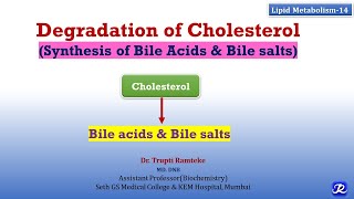 14 Cholesterol Degradation  Lipid Metabolism14  Biochemistry  NJOY Biochemistry [upl. by Nicholas541]