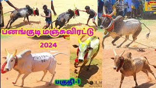 பனங்குடி மஞ்சுவிரட்டு 2024 Panangudi Manjuvirattu 2024AM PHOTOGRAPHY jallikattumanjuvirattu [upl. by Ninehc]