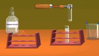 Detection of Elements Lassaigne’s Test  MeitY OLabs [upl. by Mcdonald]