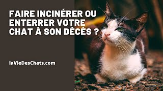 FAIRE INCINÉRER OU ENTERRER VOTRE CHAT À SON DÉCÈS [upl. by Foah]