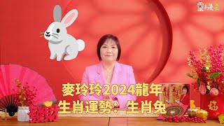 麦玲玲：2024龙年生肖兔的整体运势 [upl. by Esiled42]