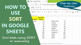 Google Sheets Sort Function  Sort Data in Ascending or Descending Way  Sort Data Manually [upl. by Gerard]