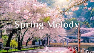 밝은 새로운 하루를 시작하는 피아노 선율  Spring Melody  Peaceful Piano Scenes [upl. by Alyhs]