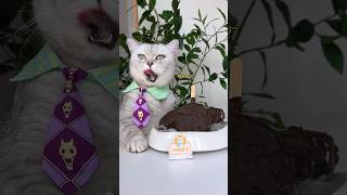 🥳DIY ChocoPeach Ice Cream In A Bottle🍑🍫 catsofyoutube foodlover tiktok [upl. by Kozloski]