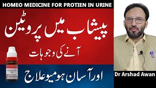 Protein In Urine CausesSymptoms And Treatment In UrduHindi [upl. by Busey]