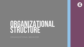 Organizational Structure [upl. by Mariel565]