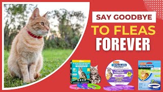 Best Cat Flea Collars  Keep Your Cat FleaFree [upl. by Brindell318]