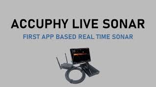 Accuphy Live Sonar [upl. by Anet]