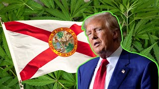 Former President Trump endorses Florida’s Amendment 3 for marijuana legalization  Action News Jax [upl. by Box]