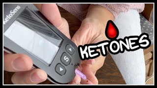 Taking my own blood 😳 Testing blood ketones at home with KetoSens [upl. by Adleme190]