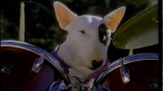 Spuds MacKenzie  Bud Light Commercial  1987 [upl. by Laughry]