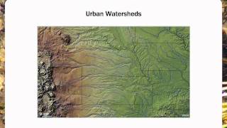 Watershed Unit 2 Watershed Systems [upl. by Draude]