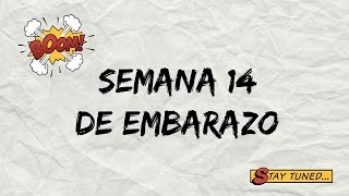 Semana 14 de Embarazo [upl. by Notlehs230]