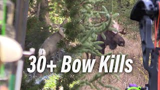 30 Bow Hunts in Under 15 Minutes Eastmans’ Bow Hunting [upl. by Pasquale]