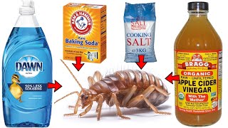 How to Get Rid of FLEAS FAST amp NATURALLY Baking Soda Dish Soap Apple Cider Vinegar Salt etc [upl. by Cnahc]