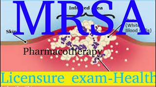 Methicillinresistant Staphylococcus aureus MRSA  COC  Exam  pharmacotherapy [upl. by Hearn771]