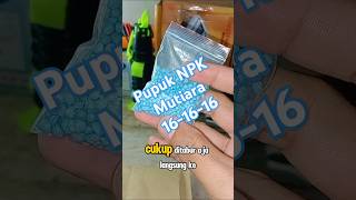 Pupuk NPK Mutiara 161616 videoshorts [upl. by Lavinia]