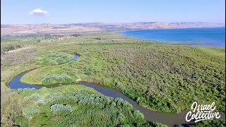 Droning the JORDAN RIVER into the SEA OF GALILEE [upl. by Einapets]