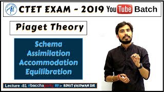 Piaget Theory Schema Assimilation AccommodationEquilibration  CDP CTET 2019 [upl. by Oluap320]