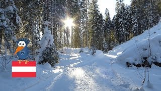 Winterwanderung zum Vilsalpsee Tannheimer Tal  Österreich [upl. by Marcos]