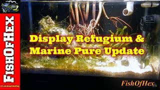 Display Refugium and Marine Pure Update  Subscriber Request [upl. by Ttemme]